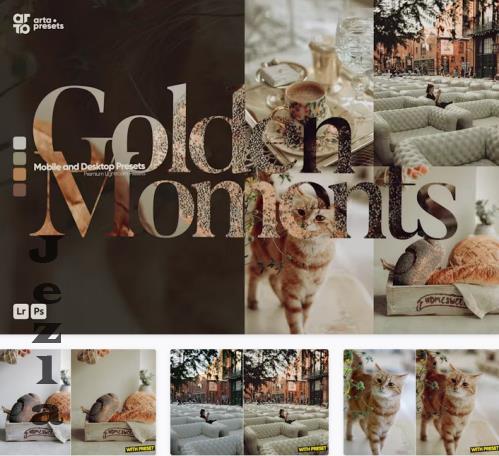 ARTA - Golden Moments Presets for Lightroom - Z9LDR5E