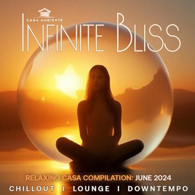 VA - Infinite Bliss (2024) (MP3)