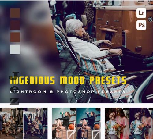 6 Ingenious Mood Presets Lightroom Presets - PTWNBW7