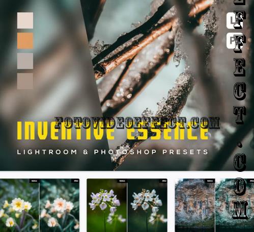 6 Inventive Essence Lightroom and Photoshop Preset - MZQN879