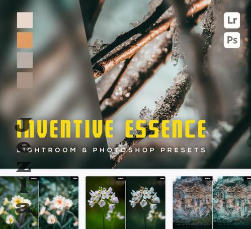 6 Inventive Essence Lightroom and Photoshop Preset - MZQN879