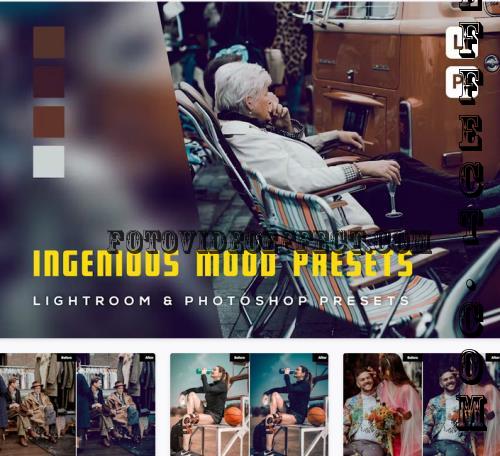 6 Ingenious Mood Presets Lightroom Presets - PTWNBW7