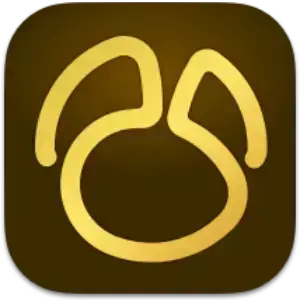 Navicat Premium 17.0.13 macOS