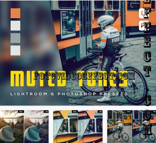 6 Muted Tones Lightroom and Photosop Presets - FRMG7MN