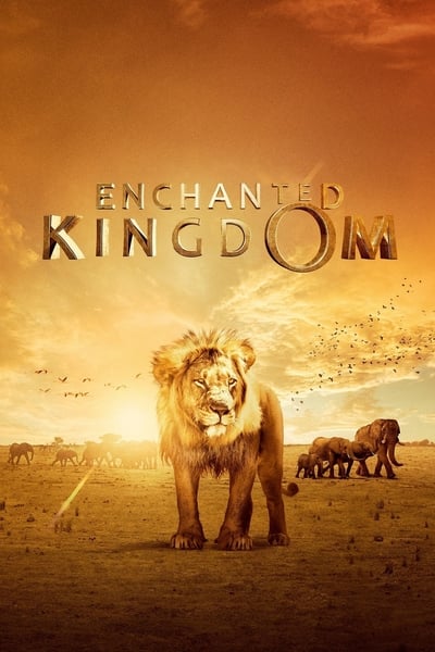 Enchanted Kingdom (2014) 1080p BluRay 5 1-LAMA 947122a92351e79df873b43165ec2d8b