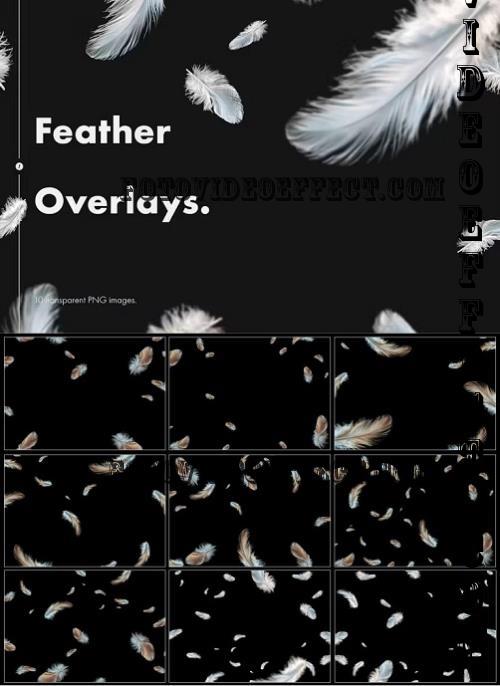 Feather Overlays - 9BQ2DLC