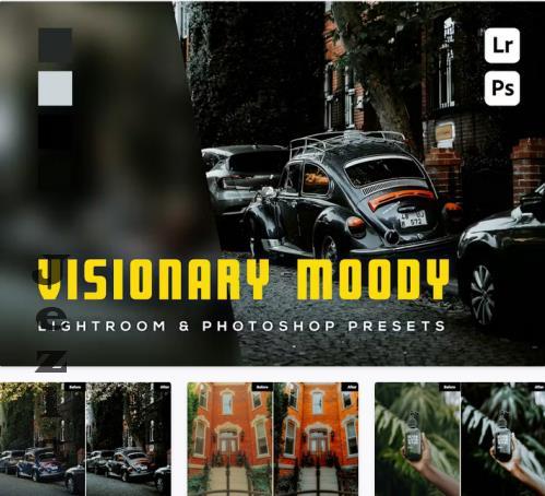 6 Visionary Moody Lightroom and Photoshop Presets - 5EJ4MYD