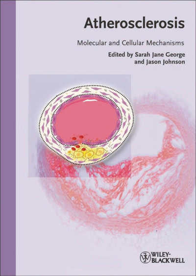 The Molecular and Cellular Basis of Neurodegenerative Diseases: Underlying Mechani... 7740095777a045db3e84ae0c8fff3c62