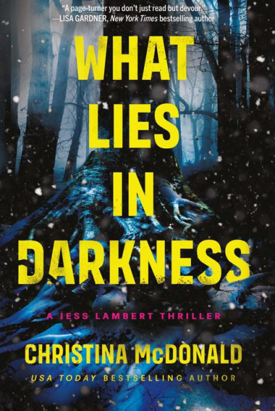 What Lies in Darkness - Christina McDonald