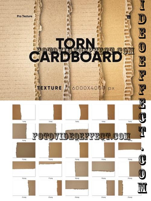 25 Ripped Cardboard Overlay - 278871995