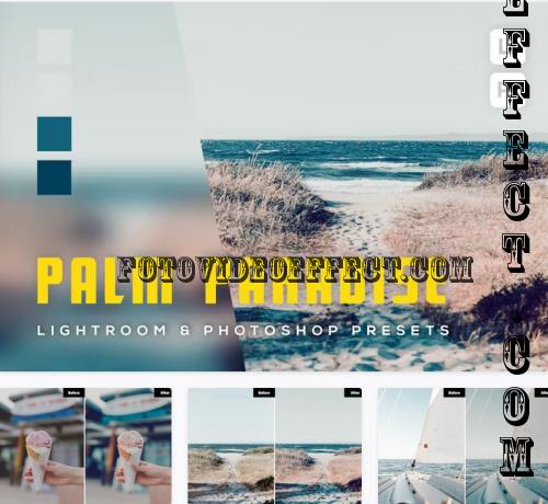 6 Palm Paradise Lightroom and Photoshop Presets - AYNC6PP