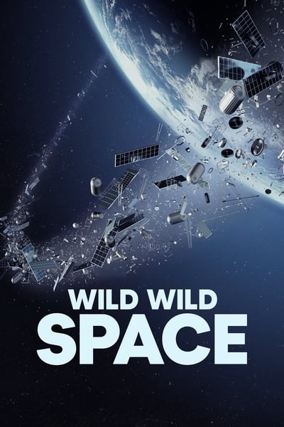 Wild Wild Space (2024) 2160p 4K WEB 5 1-LAMA 7916bfbc81f99580236ae106b9c66609