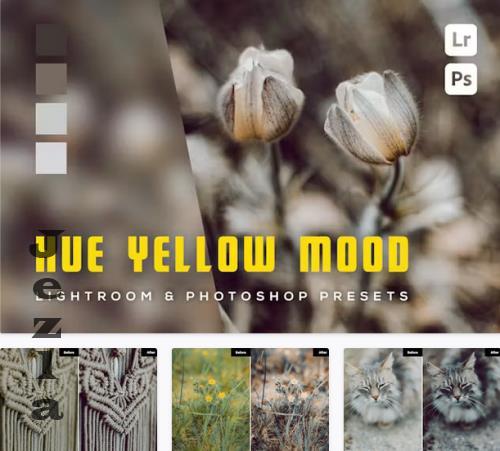 6 Hue Yellow Mood Lightroom and Photoshop Presets - YPT8D8G