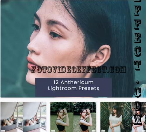 12 Anthericum Lightroom Presets - AKHDBEU