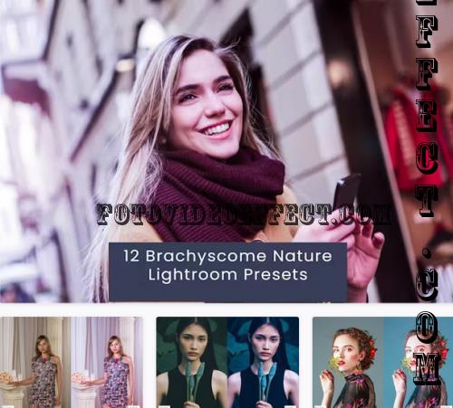 12 Brachyscome Nature Lightroom Presets - 49HT3SH