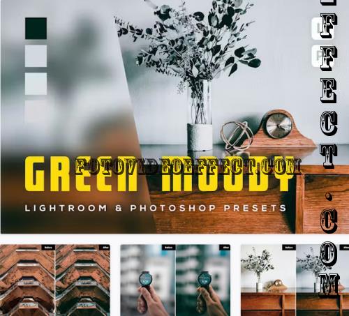 6 Green Moody Lightroom and Photoshop Presets - DZU6F39