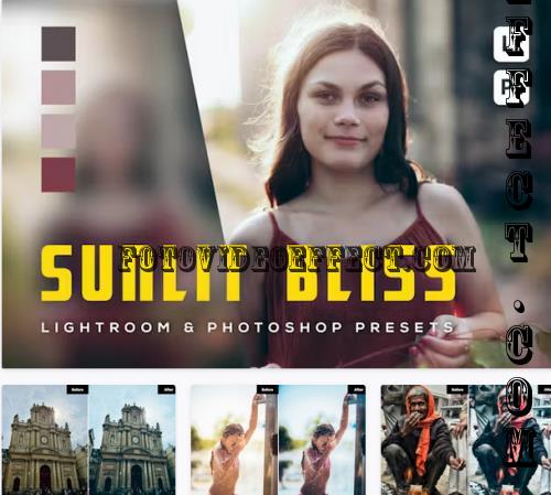 6 Sunlit Bliss Lightroom and Photoshop Presets - MKFX8LN