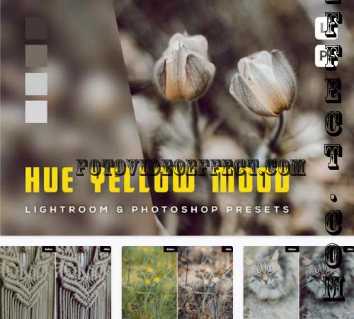 6 Hue Yellow Mood Lightroom and Photoshop Presets - YPT8D8G