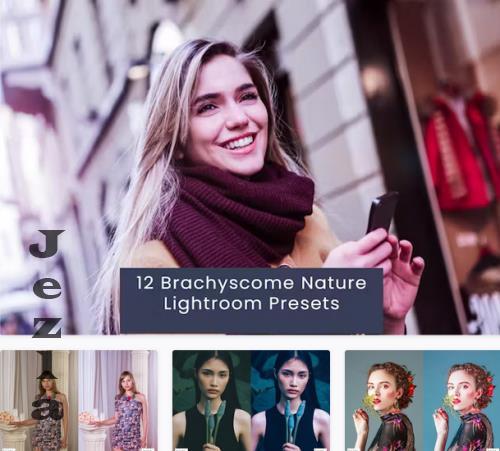 12 Brachyscome Nature Lightroom Presets - 49HT3SH