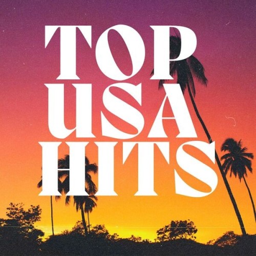 Top USA Hits (2024)