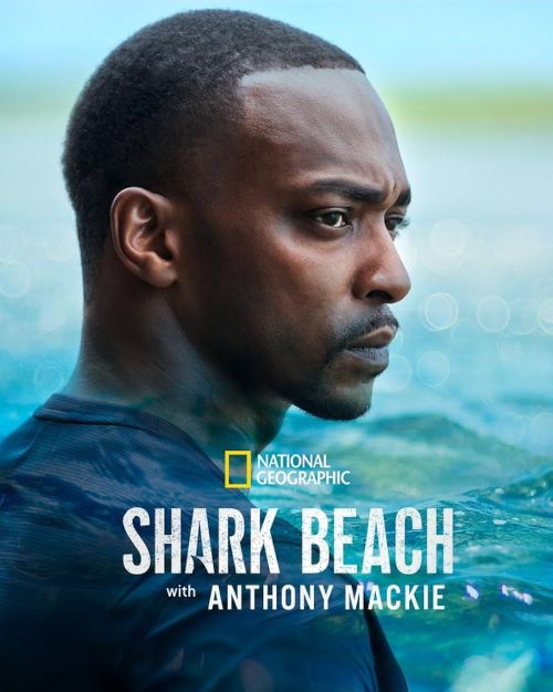 Anthony Mackie na plaży rekinów / Shark Beach with Anthony Mackie: Gulf Coast (2023) PL.1080i.HDTV.H264-OzW / Lektor PL