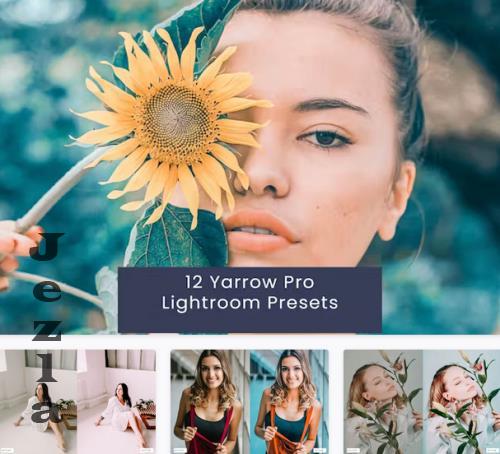 12 Yarrow Pro Lightroom Presets - YLU6692