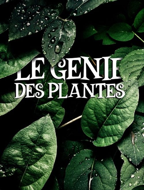 Genialne rośliny / Le génie caché des plantes (2024)  PL.2160p.HDR.UHDTV.H265-B89 / Lektor PL