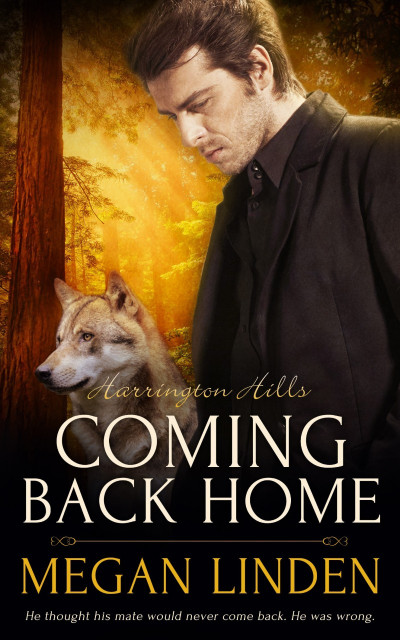 Coming Back Home - James Richmond 288aa1e0eaa0eb9be702bbbc0d9aab6b