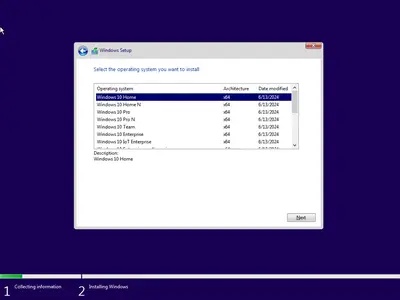 Windows 10 22H2 build 19045.4651 AIO 16in1 Multilingual Preactivated July 2024 (x64) 