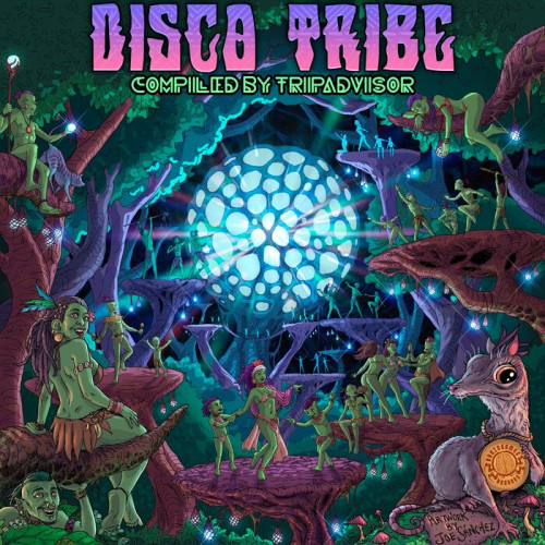 VA - Disco Tribe (2024)