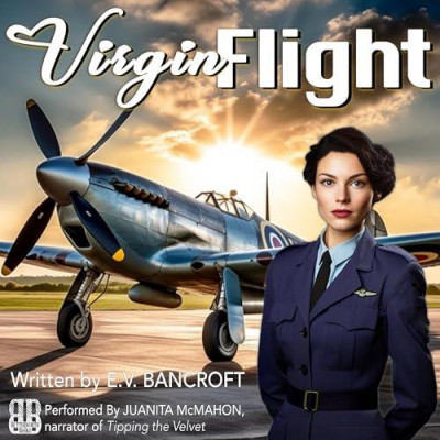 Virgin Flight - [AUDIOBOOK]