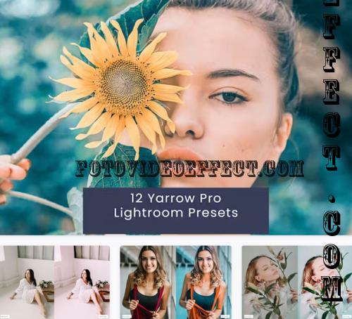 12 Yarrow Pro Lightroom Presets - YLU6692