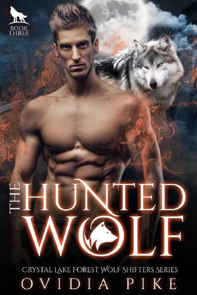 Hunted Wolf - Krystal Shannan D5b1c883c381c3ceb5287beade7d61fc