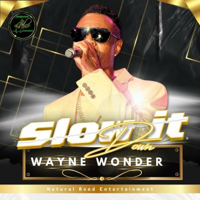 Wayne Wonder Slow It Down (2024).07.26