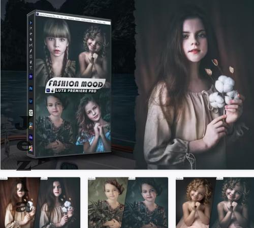 Fashion Mood Presets - luts Video Premiere Pro - BL8YDU6