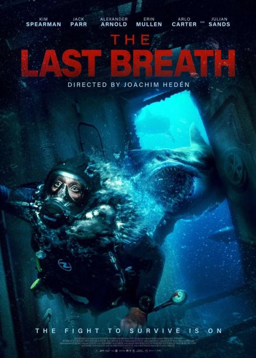 The Last Breath (2024)  PL.480p.BRRip.XviD.AC3-OzW / Lektor PL
