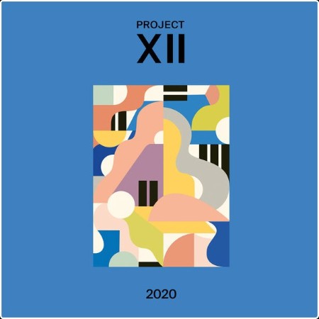 Various Artists - Project XII 2020 (2024) [24Bit-44 1kHz] FLAC  074a349eaae0c197eca715f3d4bb64da