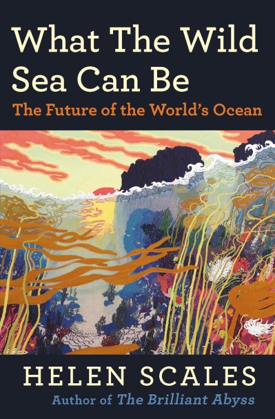 What the Wild Sea Can Be: The Future of the World's Ocean - Helen Scales 40733699acb29c2751702d7d50d44850