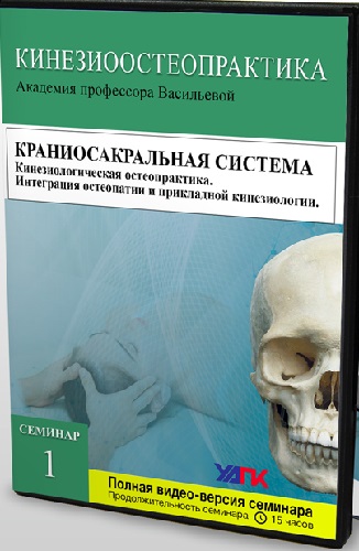 Прикладная Кинезиология - Семинар №1. Краниосакральная система (2020) CAMRip