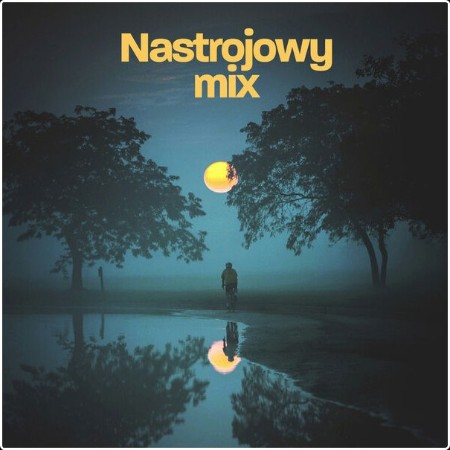 Various Artists - Nastrojowy mix (2024) Mp3 320kbps  D9b474dd0c4aba8cfa21d18e6c2aae7f