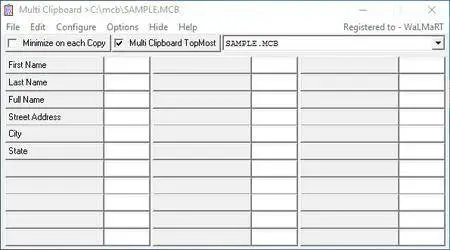 ElectraSoft Multi Clipboard 24.07.27