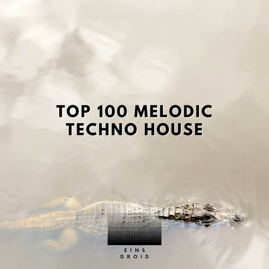 Top 100 Melodic Techno House