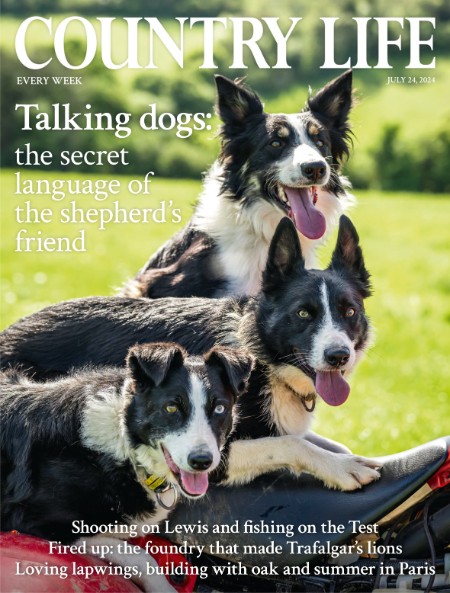 Country Life UK - July 24, 2024