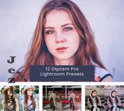 12 Diptam Pro Lightroom Presets - A52VKZB