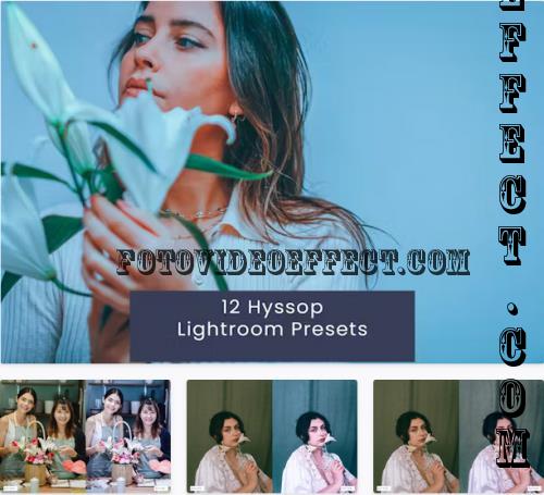 12 Hyssop Lightroom Presets - 9634Y8F