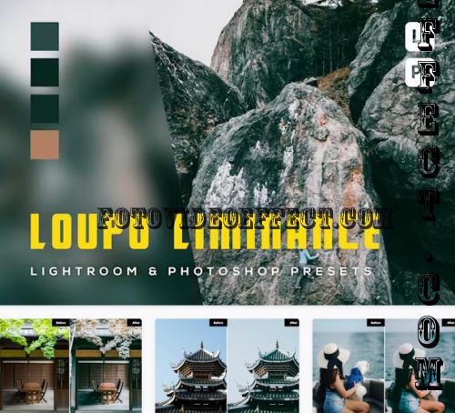 6 Loupo liminance Lightroom and Photoshop Presets - 2HKRAHC