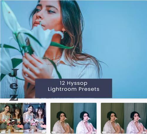 12 Hyssop Lightroom Presets - 9634Y8F