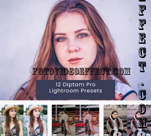 12 Diptam Pro Lightroom Presets - A52VKZB