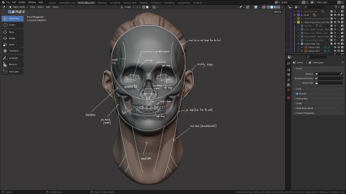 Master Sculpting Heads (V1.3) - 3D Blender Course D3c00d2c5f9b137e1bca499299a945dc