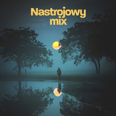 VA - Nastrojowy mix 2024